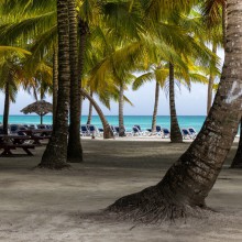 Saona