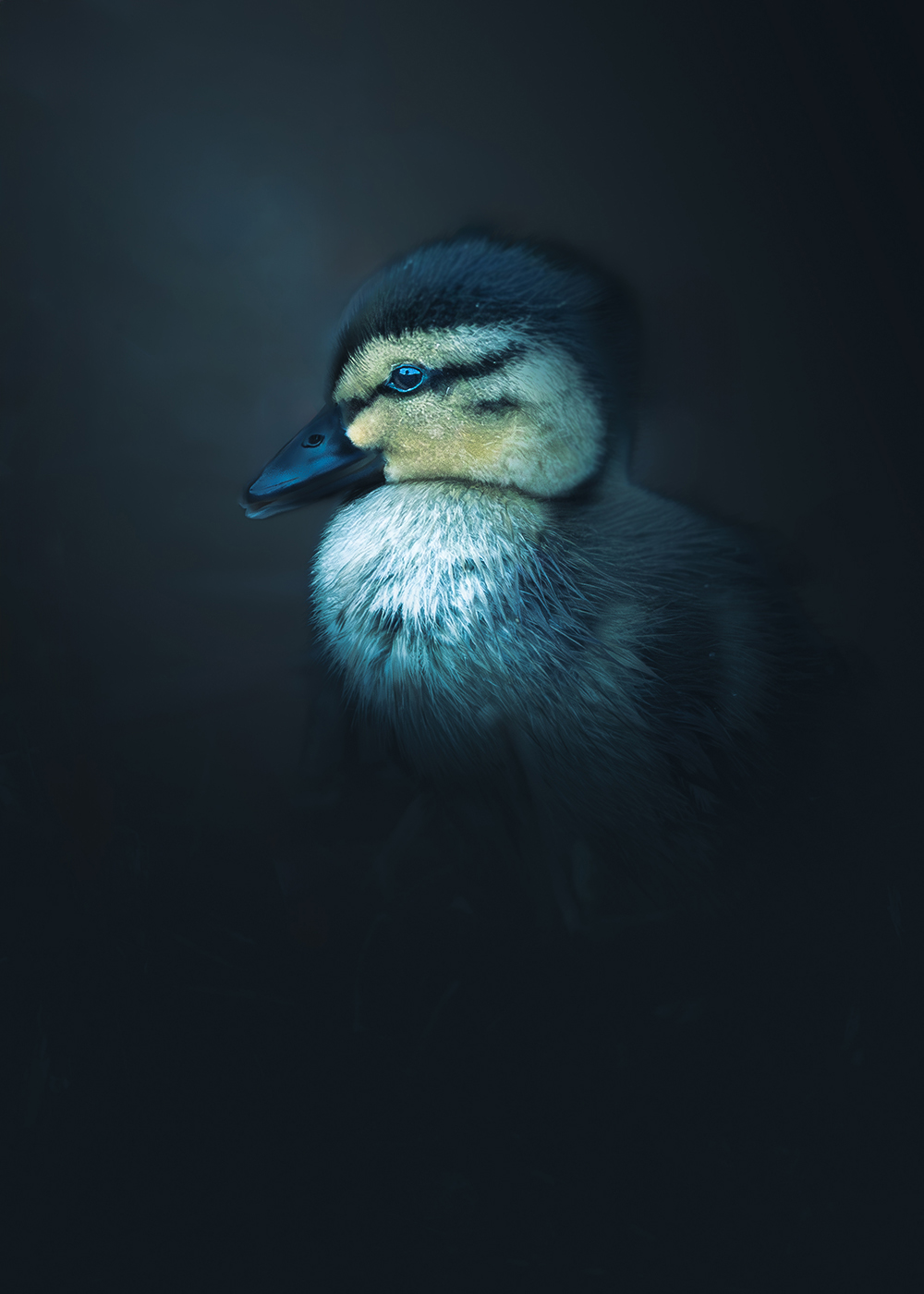Peter Seitler fotograf Piešťany