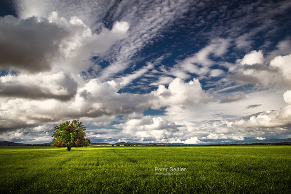 Za Krakovanským humnom I - Fotografiu som zhotovil ešte minulý rok, keď som šiel domov z práce. Každý deň rovnaká cesta, ale mračná a oblaky vždy iné…:-)  Priznávam, občas na ne pozerám viac ako na cestu. Našťastie však všetko dobre dopadlo a ja som mal pri sebe opäť správny objektív. Fotografiu som nazval: Za Krakovanským humnom I.