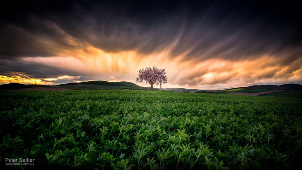 Za Krakovanským humnom I - Fotografiu som zhotovil ešte minulý rok, keď som šiel domov z práce. Každý deň rovnaká cesta, ale mračná a oblaky vždy iné…:-)  Priznávam, občas na ne pozerám viac ako na cestu. Našťastie však všetko dobre dopadlo a ja som mal pri sebe opäť správny objektív. Fotografiu som nazval: Za Krakovanským humnom I.