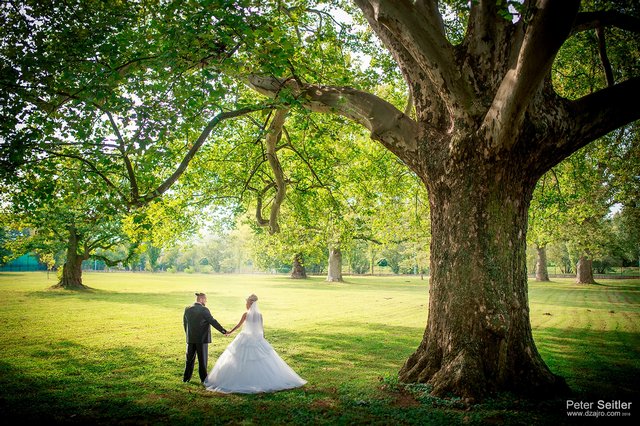 Fotograf svadby Piešťany - Svadobné fotografie Piešťany